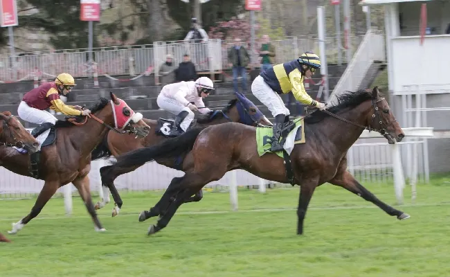 Ippica, all’Ippodromo Snai San Siro mercoledì di galoppo con la netta vittoria di Thine Be The Glory nel Premio Alberto Chantre, mentre il Premio Jimy'S Grey, per il terzo anno consecutivo, va al ‘Vecchio’ Ghepardo Da Todi