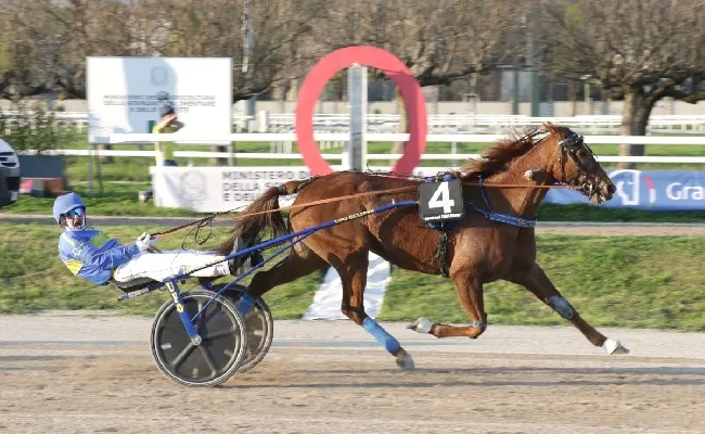 Ippica, all’Ippodromo Snai San Siro bel venerdì di trotto con la Giornata Gentlemen Nazionale e il sigillo di Baika dei Ronchi nel Premio Nosate Trotto