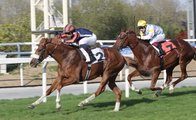 Ippica, all'Ippodromo Snai San Siro bella domenica di sole e di pubblico con Conformist che vince la corsa più tecnica della 6° giornata per il Premio Aria Club Milano, condizionata sul miglio per i cavalli di 3 anni