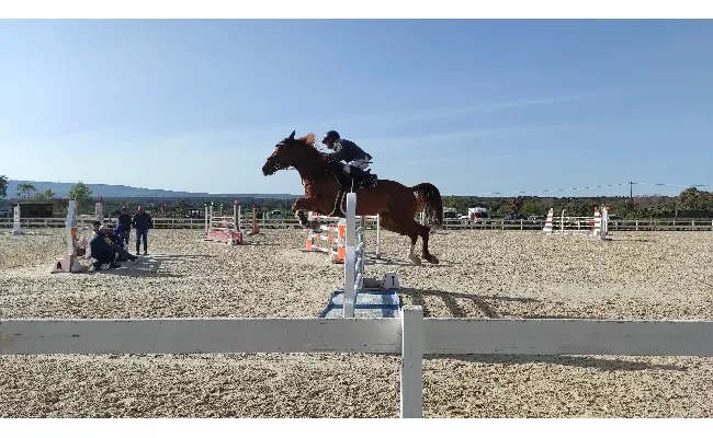 Salto ostacoli: 258 cavalli alla 1^ tappa del Trofeo Asvi, Antonio Meloni su Vadir vince il Gran Premio C140 a due manche