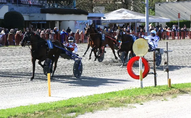 Ippica, giovedì 10 aprile all’Ippodromo di Bologna, ospiti stranieri e la TQQ nel finale