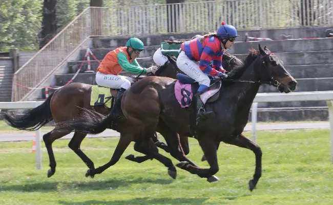 Ippica, bel mercoledì di galoppo all’Ippodromo Snai San Siro con gli handicap che hanno visto protagonisti Danny Ocean e Anthimus, Nelle Maiden Basset Horn, Rhodreego, grazie alla Sirena, e Thamna nel femminile