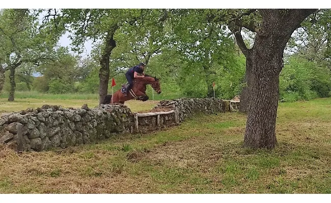 Equitazione, Luca Riccardi e Luigi Iriu vincono a Tanca Regia (Abbasanta). Nel dressage successi di Maria Lara Moya e Andrea Guspini
