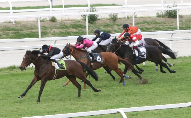 Ippica, nel mercoledì di galoppo all'Ippodromo Snai San Siro Thine Be Glory firma il Premio Alberto Zanoletti da Rozzano, mentre Silver Crack e Korisa convincono nel Premio Altieri e nel Bbag