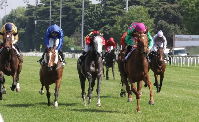 Ippica, all’Ippodromo Snai San Siro lunedì di galoppo con il recupero della giornata di sabato: maiden a Fragrant Love e negli handicap vittoria bis di valuta straniera tra i fondisti del Premio Santopadre e nel varola la spunta Spiderman al fotofinish