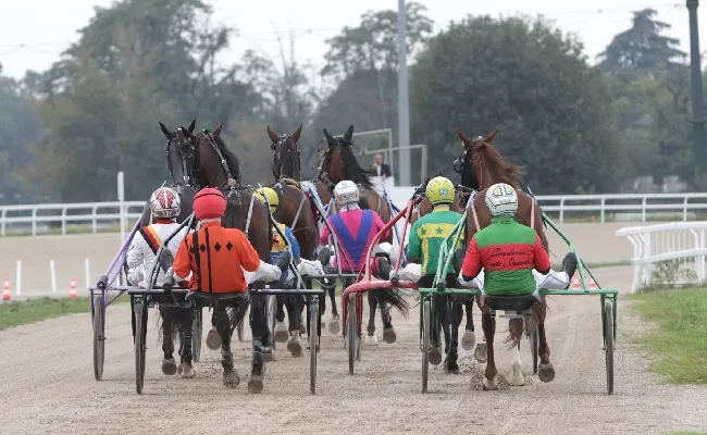 Ippica, all'Ippodromo Snai San Siro fine settimana di corse con due appuntamenti da non perdere: il venerdì il trotto con nove prove tra cui le divisioni "Breeders Course'. Sabato il galoppo con il 'Filiberto'