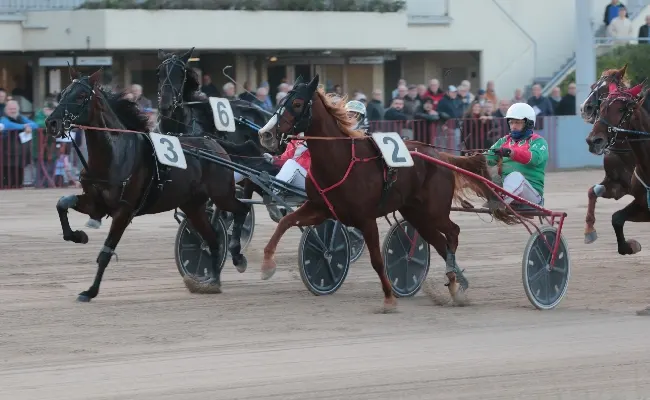 Ippica: sabato 10 maggio all’ippodromo di Bologna, il Premio Leoniero e altre due corse hanno protagonisti i cavalli di tre anni