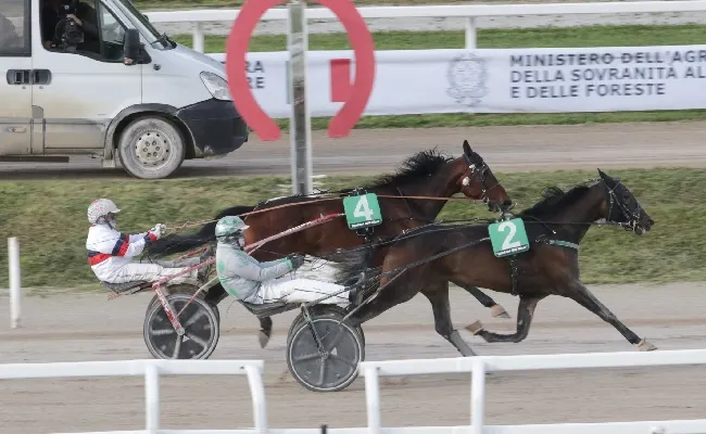Ippica, all'Ippodromo Snai San Siro il mercoledì di trotto vede Goelicher St imporsi nella prova centrale per il Premio Showmar, mentre nel Trofeo del Trotto Montato vince Icelander