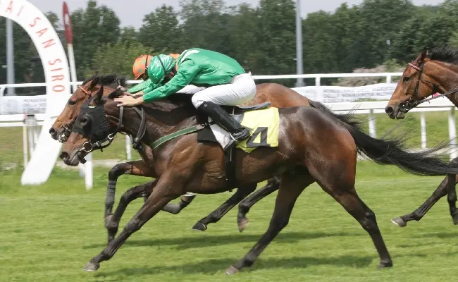Ippica, all'Ippodromo Snai San Siro il mercoledì di galoppo sorride a Shimmy Jimmy che vince il Premio Ramonti. Sabato grande attesa per il Premio Bereguardo-Trofeo Sirlad, l'Incisa della Rocchetta e il Nogara
