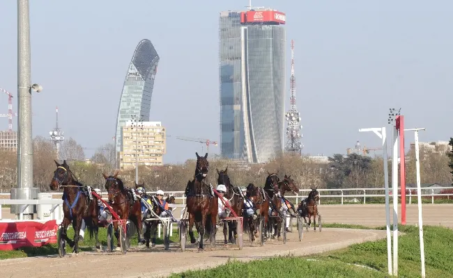 Ippica, domenica di trotto all’Ippodromo Snai San Siro a partire dalle ore 15:45. Sette corse valide per la 27^ giornata in cui spiccano il Premio Zabul Fi e il Premio Mineiro As