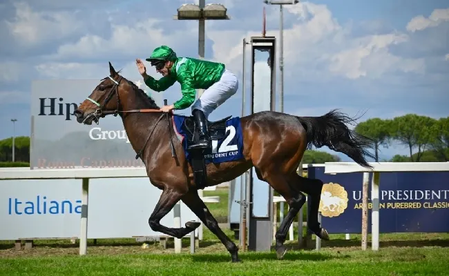 Ippica, Ippodromo Capannelle Assolo di HM Alchahine e Cristian Demuro nella UAE President Cup
