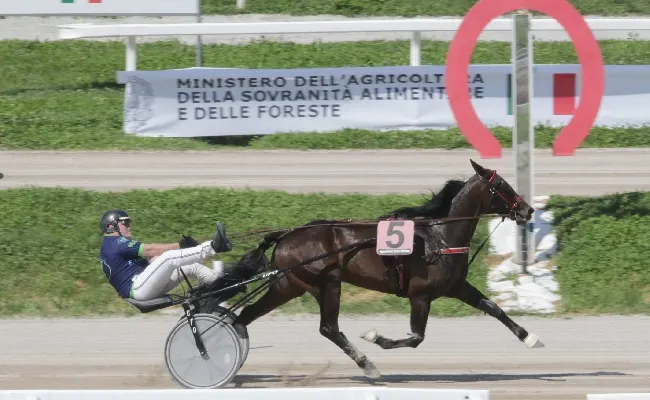 Ippica, Gocciadoro protagonista nella domenica di trotto all’Ippodromo Snai San Siro nelle due più importanti prove: nel Premio Zabul Bi vince von Fireball Bi e nel Mineiro As con Glamour Gio