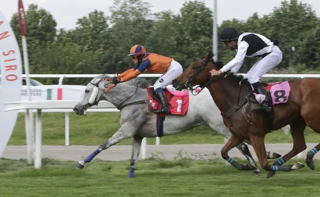 Ippica, il mercoledì di galoppo all’Ippodromo Snai San Siro con i debuttanti Milos e Chelsea Believe che vincono il Mimma Werner e il Razza Ceserio. Nell’handicap per il Premio Scuderia San Michele va a segno Lethal Nigio