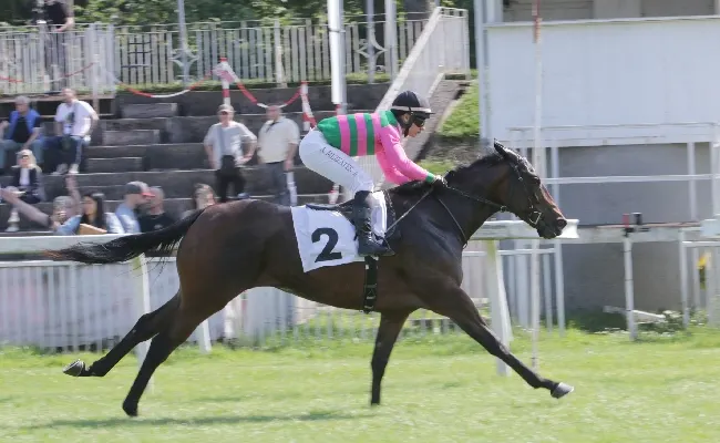 Ippica, all’Ippodromo Snai San Siro la domenica di galoppo con grandi emozioni: nel Premio Karla Willer vince vene The Last Rebel, mentre nel Mario Cipolloni nessuna fatica per Eastern Charm. Ultimo saluto all’ex fantino ed allenatore Sandro Mattei