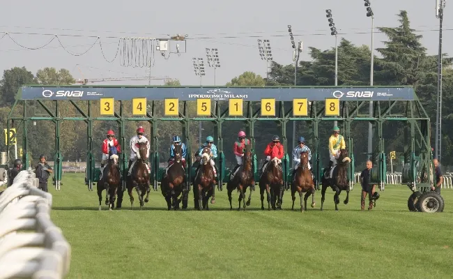 Ippica, all’Ippodromo Snai San Siro mercoledì di galoppo con sei corse a partire dalle ore 15:30 e con in evidenza due handicap in chiusura e le eliminatorie del Circuito San Siro ‘Classic’ e ‘Mile’