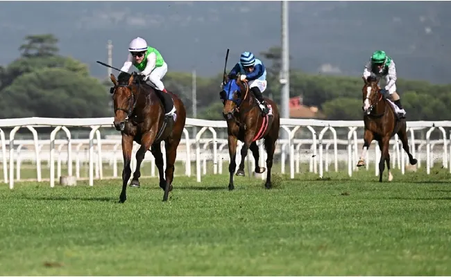 Ippica, 142° Derby Italiano di Galoppo Bet365Scores.it. Lunedì 2 giugno 2025, dalle ore 14.20, Derby Day