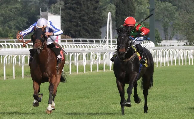 Ippica, domenica la 'prima' di giugno che accende la stagione di galoppo all'Ippodromo Snai San Siro. In pista dalle ore 15.25 con sette corse ma anche tanta animazione per i bambini e le famiglie