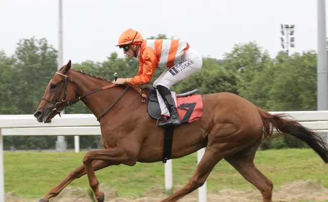 Ippica, domenica all'Ippodromo Snai di San Siro si fa sul serio con il gruppo 3 per il premio del Giubileo e due listed per il premio XCVI Royal Mares e il Mario e Vittorio Crespi