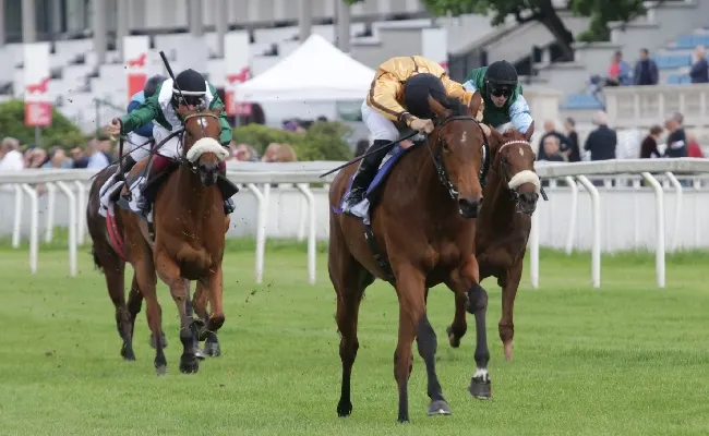Ippica, domenica di galoppo all’Ippodromo Snai San Siro con in pista sette corse tra cui la finale del Circuito San Siro Sprint. Musica dal vivo e animazione, mentre sale l’attesa per le Oaks d’Italia del 22 giugno