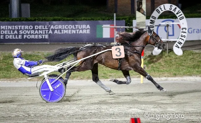 Ippica, Ippodromo Cesena Trotto: resoconto delle corse di sabato 21 giugno