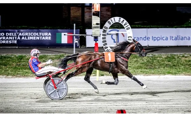 Ippica, Ippodromo di Cesena: resoconto delle corse di martedì 24 giugno