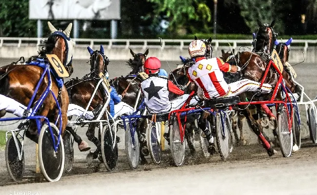 Ippica, Ippodromo di Cesena: venerdì 27 giugno ultimo appuntamento del mese con il Premio Giostra all'Incontro