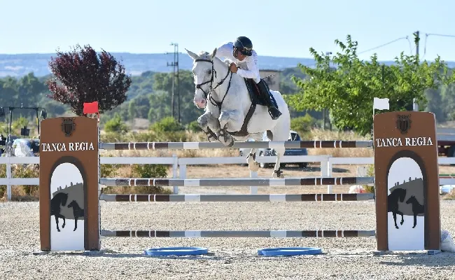Equitazione, salto ostacoli: Giovanni Carboni su Ardita Nice vince il Gran Premio e la classifica dei 7 anni e oltre a Tanca Regia per la 2^ tappa del Trofeo Asvi