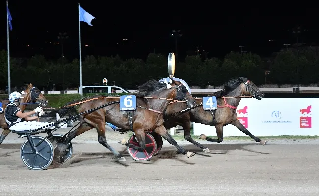 Ippica, all'Ippodromo Snai Sesana un nuovo sabato di trotto per la 2^ giornata stagionale con in pista sette prove a partire dalle 20:30