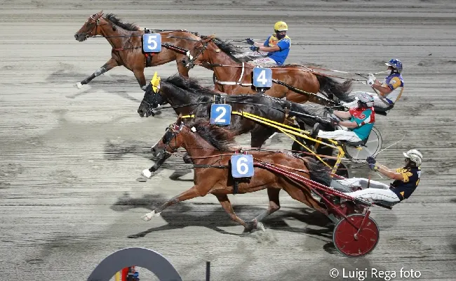 Ippica, Ippodromo di Cesena: sabato 5 luglio, prima "classica" della stagione con il Gran Premio Riccardo Grassi