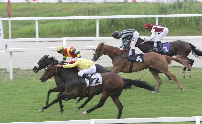 Ippica, all'Ippodromo Snai San Siro sabato sera di festa per il jockey Dario Di Tocco che vince son Supreme Winter e Chelsea Believe il Premio De Montel e il Gino e Luciano Mantovani