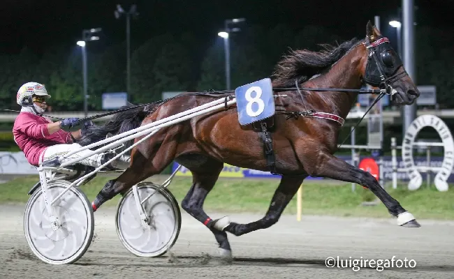 Ippica, Ippodromo di Cesena: Dakovo Mail vince a sorpresa il Gran Premio Riccardo Grassi - Trofeo Romagna Iniziative
