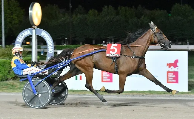 Ippica, all'Ippodromo Snai Sesana bel sabato sera con Gooui di Poggio che fa suo il Premio Miss Montecatini 2025 e il driver Federico Esposito che fa 'triplete'