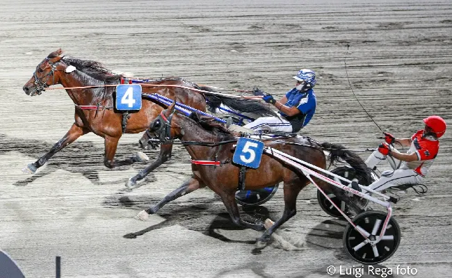 Ippica, Ippodromo di Cesena: martedì 8 luglio, sette corse dalle 20:55 con degustazione di vini Nicolucci e corsa Tris