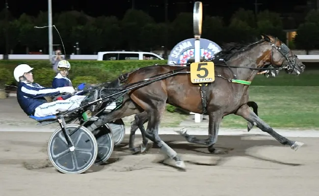 Ippica, Ippodromo Snai Sesana: partenti 20^ edizione del Gran Premio Nello Bellei in programma sabato 12 luglio
