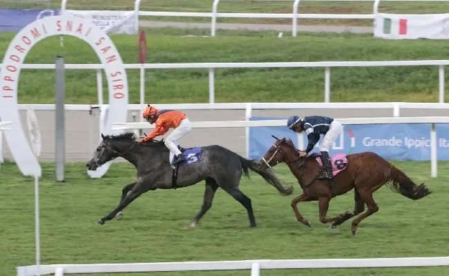 Ippica, all’Ippodromo Snai San Siro lunedì di galoppo valido per la 29^ giornata stagionale: tra vento e pioggia Magicstardust vince l’handicap per i giovani velocisti