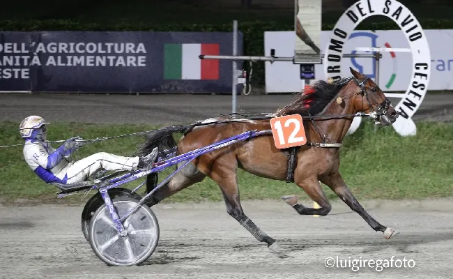 Ippica, Ippodromo di Cesena: martedì 8 luglio Forest con Amitrano vincitori della TQQ - Premio Fattoria Nicolucci