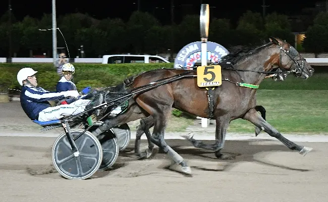 Ippica, sabato all’ippodromo Snai Sesana lo spettacolo del Gran Premio Nello Bellei, il primo ‘Classico’ della stagione e di luglio di Gruppo 3