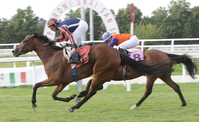 Ippica, all’Ippodromo Snai San Siro l’ultima riunione di galoppo della sessione primavera-estate. In evidenza Tramaglino nel Redaelli e Tamouth e Lobster nelle due maiden