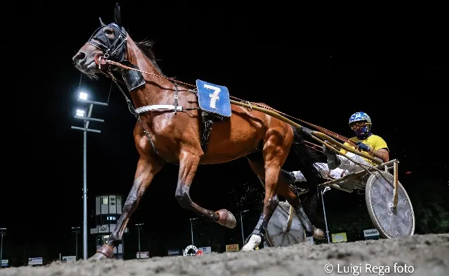 Ippica, Ippodromo di Cesena: martedì 15 luglio Superfrustino al via dalle 20:55, in programma anche la TQQ