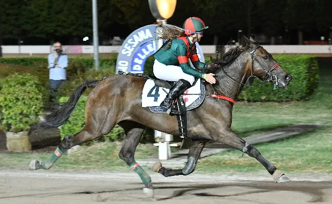 Ippica, all'Ippodromo Snai Sesana mercoledì con il trotto montato e la "regina" Cornelia Op. Per le famiglie e i bambini intrattenimento e animazione dalle ore 20, in pista dalle 20:50