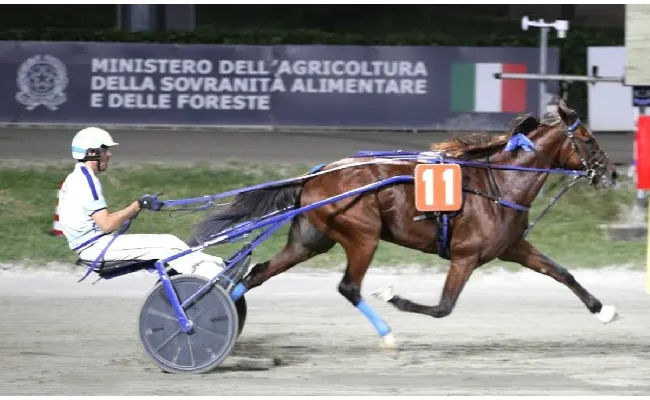 Ippica, Ippodromo di Cesena: resoconto delle corse di martedì 15 luglio