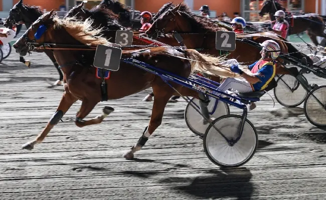 Ippica, Ippodromo di Cesena: sabato 19 luglio, sette corse dalle 21 con il Circolo Aurora di Forlì