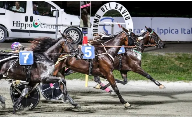 Ippica, Ippodromo di Cesena: resoconto delle corse di sabato 19 luglio 2025