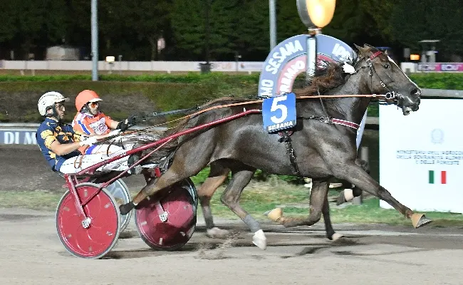 Ippica, Ippodromo Snai Sesana: pronto riscatto di Goelicher St nel Gran Premio Società Terme - Memorial Vivaldo Baldi, secondo ‘classico’ della stagione di trotto