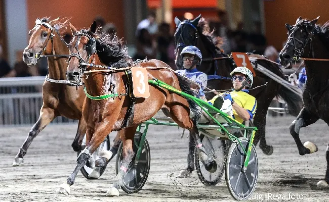 Ippica, Ippodromo di Cesena: martedì 22 luglio, Superfrustino secondo atto con il Premio ADAC, in serata anche la TQQ