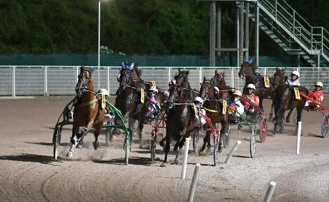 Ippica, all'Ippodromo Snai Sesana infrasettimanale del mercoledì con la giornata di trotto riservata ai "gentlemen". Al via dalle ore 20:50 con sette corse