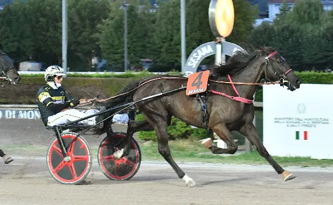Ippica, all’Ippodromo Snai Sesana il ricordo di Sari Del Rosso, nella giornata di trotto riservata ai Gentlemen, è nel segno del driver Zaccherini che vince con Enterprise As