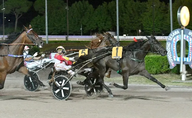 Ippica, all’Ippodromo Snai Sesana di Montecatini ultima di trotto a luglio con in palio la ‘Wild Card’ per il GP Città di Montecatini. sabato sette corse dalle ore 20:50 e tanta animazione per le famiglie