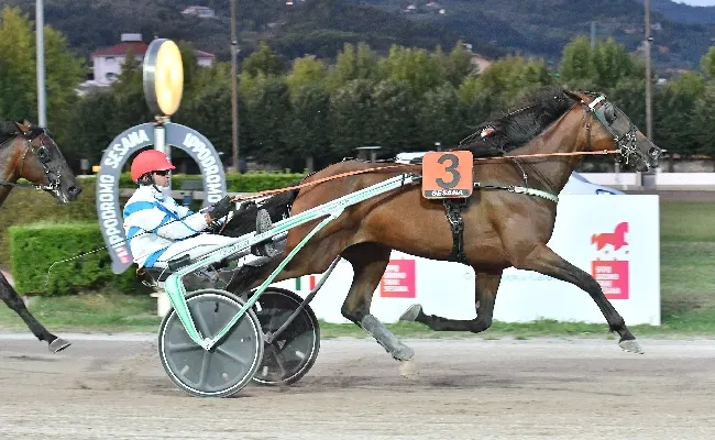 Ippica, Click Bait stacca la ‘wild card’ per il Gran Premio Città di Montecatini nel bel sabato sera di trotto all’Ippodromo Snai Sesana. Il 2 agosto di nuovo in pista con le corse a pariglie e il trotto montato