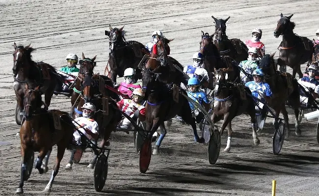 Ippica, Ippodromo di Cesena: martedì 29 luglio, la terza semifinale del Superfrustino. Sette corse dalle 20:55 con Centrale del Latte di Cesena
